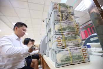 vang mieng sjc giu moc 84 trieu dongluong usd ngan hang dao chieu di len