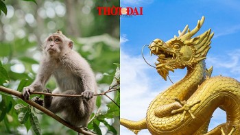 top con giap xui xeo hom nay 3102024 thin ke xau ham hai than chu y hon den cong viec