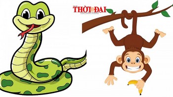 top con giap may man hom nay 6102024 ty su nghiep thang tien than vuong tai vuong loc