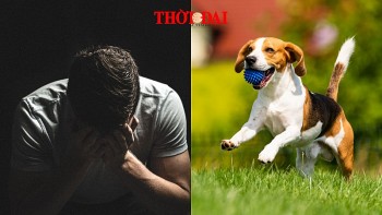 top con giap xui xeo hom nay 6102024 tuat vuong vao het rac roi nay den rac roi khac