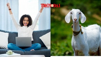 top con giap may man hom nay 9102024 mui lam gi cung troi chay