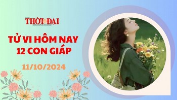 tu vi hom nay 12 con giap 11102024 thin gap nhieu may man mui don tin vui tien bac