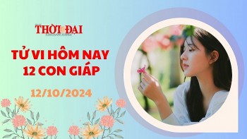 tu vi hom nay 12 con giap 12102024 mao nhan duoc phuc loc doi dao