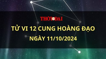 tu vi hom nay 12 cung hoang dao 11102024 bach duong gap nhieu may man