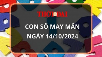 con so may man hom nay 14102024 12 con giap suu phat tai trong chop mat