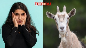 top con giap xui xeo hom nay 12102024 mui co mot ngay kho khan