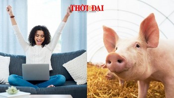 top con giap may man cuoi tuan 12 13102024 hoi don tin vui ve dau tu kinh doanh