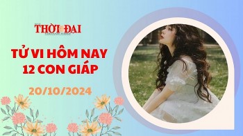 tu vi hom nay 12 con giap 20102024 tai tinh ho tro cho tuoi mao