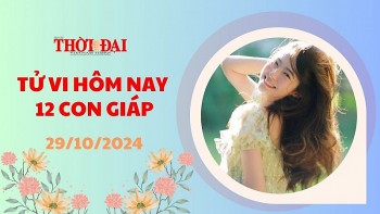 tu vi hom nay 12 con giap 29102024 mao gap may man ve tien bac