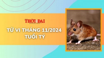 Tử vi tháng 11/2024 tuổi Tý: Rắc rối triền miên