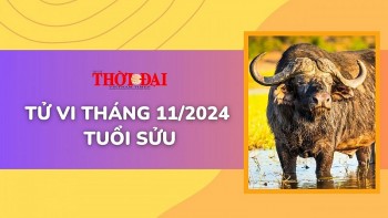 tu vi thang 112024 tuoi suu suon se tu cong viec den tinh duyen