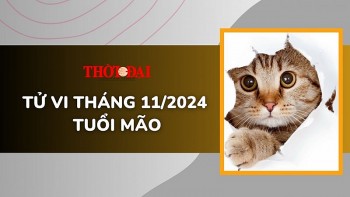 tu vi thang 112024 tuoi mao hung cat dan xen hanh su can can than