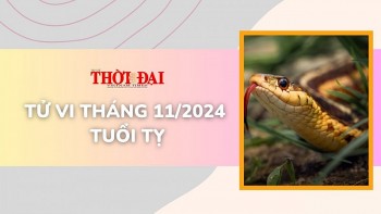 Tử vi tháng 11/2024 tuổi Tỵ: Tài chính có những bước nhảy vọt đáng mừng