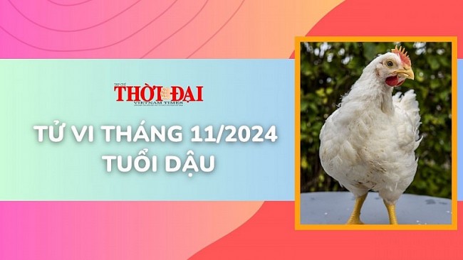 Tử vi tháng 11/2024 tuổi Dậu: Tốt xấu đan xen, vui buồn lẫn lộn