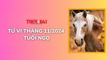 tu vi thang 112024 tuoi ngo hung tinh deo bam de xung dot voi nhung nguoi xung quanh