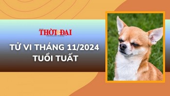 tu vi thang 112024 tuoi tuat nhieu kho khan va khuc mac