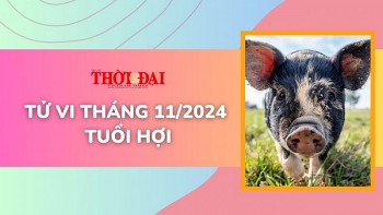 Tử vi tháng 11/2024 tuổi Hợi: Cơ hội và nguy cơ đều tiềm tàng trong vận trình