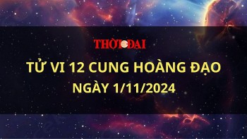 tu vi hom nay 12 cung hoang dao 1112024 bach duong tro nen manh me va ban linh