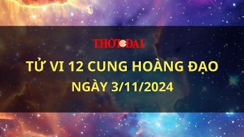 Tử vi hôm nay 12 cung hoàng đạo 3/11/2024: Song Tử cực may mắn