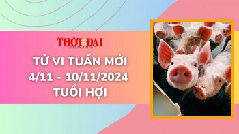 tu vi tuan moi 411 den 10112024 tuoi hoi tinh duyen cong danh tai loc