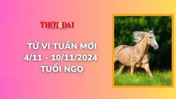 tu vi tuan moi 411 den 10112024 tuoi ngo cong danh tai loc tinh duyen