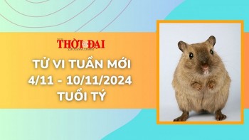 tu vi tuan moi 411 den 10112024 tuoi ty tinh duyen cong danh tai loc