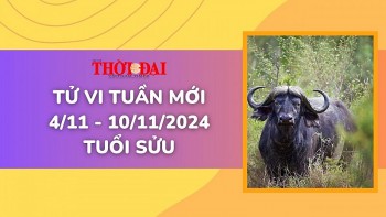 tu vi tuan moi 411 den 10112024 tuoi suu cong danh tai loc tinh duyen