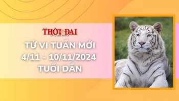 tu vi tuan moi 411 den 10112024 tuoi dan tinh duyen cong danh tai loc