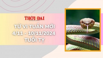 tu vi tuan moi 411 den 10112024 tuoi ty tinh duyen cong danh tai loc