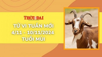 tu vi tuan moi 411 den 10112024 tuoi mui tinh duyen cong danh tai loc