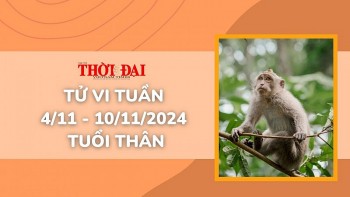 tu vi tuan moi 411 den 10112024 tuoi than tinh duyen cong danh tai loc