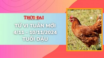 Tử vi tuần mới 4/11 đến 10/11/2024 tuổi Dậu: Tình duyên, công danh tài lộc