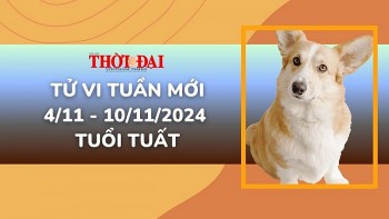 tu vi tuan moi 411 den 10112024 tuoi tuat tinh duyen cong danh tai loc