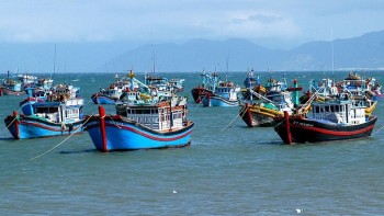 quang nam khong co tau ca vi pham vung bien nuoc ngoai