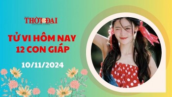 tu vi hom nay 12 con giap 10112024 dan gap nhieu kho khan trong cong viec