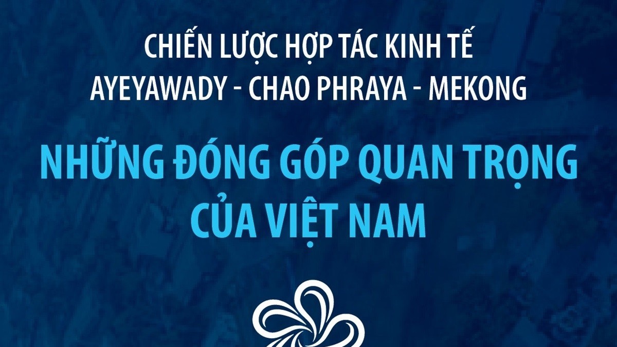 infographics nhung dong gop quan trong cua viet nam trong acmecs