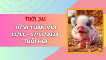 tu vi tuan moi 1111 den 17112024 tuoi hoi suc khoe tinh duyen cong danh tai loc