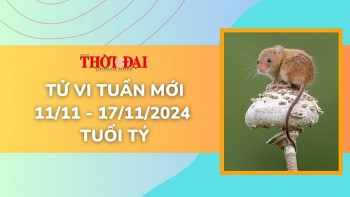 tu vi tuan moi 1111 den 17112024 tuoi ty tinh duyen cong danh tai loc