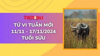 tu vi tuan moi 1111 den 17112024 tuoi suu tinh duyen cong danh tai loc