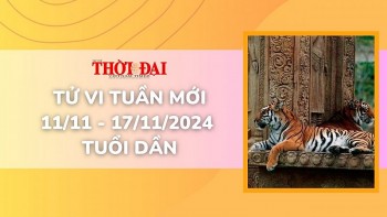 tu vi tuan moi 1111 den 17112024 tuoi dan tinh duyen cong danh tai loc