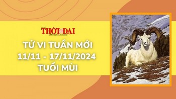 tu vi tuan moi 1111 den 17112024 tuoi ty tinh duyen cong danh tai loc