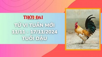 tu vi tuan moi 1111 den 17112024 tuoi dau tinh duyen cong danh tai loc