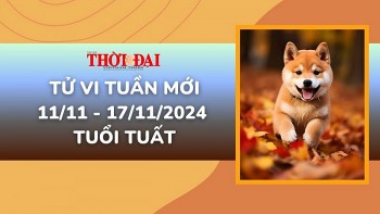 tu vi tuan moi 1111 den 17112024 tuoi tuat cong danh tai loc tinh duyen