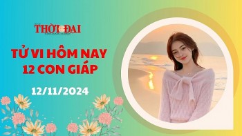 tu vi hom nay 12 con giap 12112024 ty co mot ngay lam viec ban ron