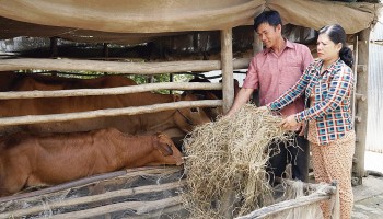 nhung chuyen tinh viet nam campuchia hanh phuc duoi mot mai nha