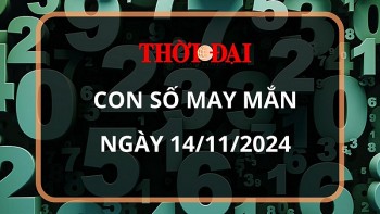 con so may man hom nay 14112024 12 con giap con so phat tai phat loc