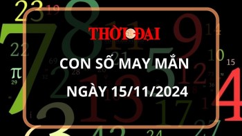 con so may man hom nay 15112024 12 con giap mui van may deo bam