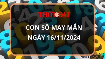 con so may man hom nay 16112024 12 con giap tuoi nao duoc than tai go cua