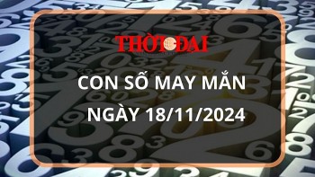 con so may man hom nay 18112024 12 con giap ngo dung dau thanh cong day