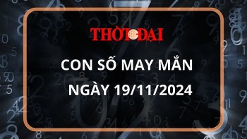 Con số may mắn hôm nay 19/11/2024 12 con giáp: Những con số phát tài phát lộc